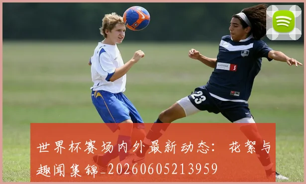 世界杯赛场内外最新动态:花絮与趣闻集锦_20260605213959