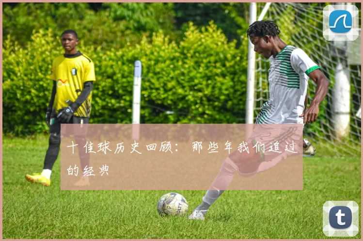 十佳球历史回顾:那些年我们追过的经典