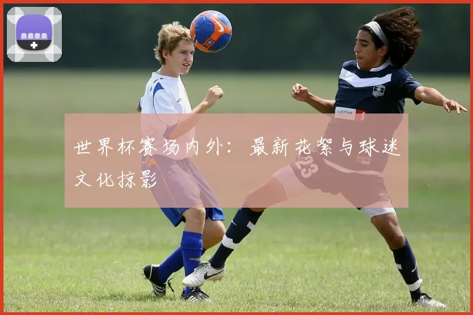 世界杯赛场内外：最新花絮与球迷文化掠影